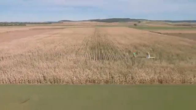 F5J Pike PRESTIGE-2PK von Samba Model смотреть онлайн