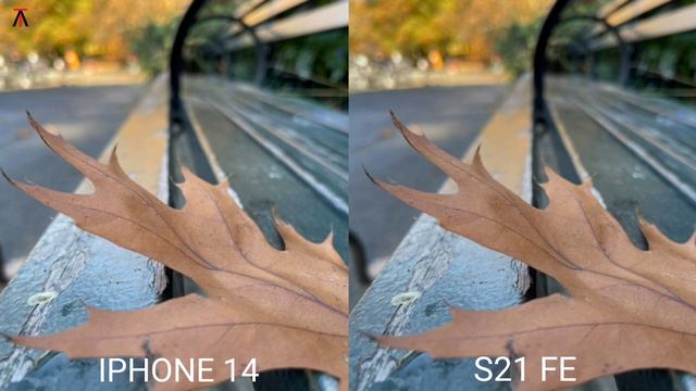 Iphone 14 Vs Samsung Galaxy S21 FE | Camera Test
