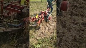 Копаем картошку мотоблоком МТЗ -09Н самодельной картофелекапалкой