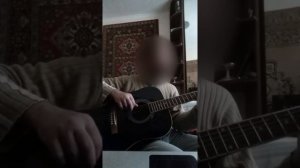 Martinez guitar FAW-702