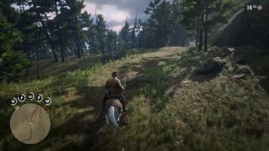 Red Dead Redemption 2 Охота + приручил лучшую лошадь. Прохождение. Розыгрыш игры в описании.