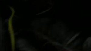 Самодельный  сварочный  полуавтомат