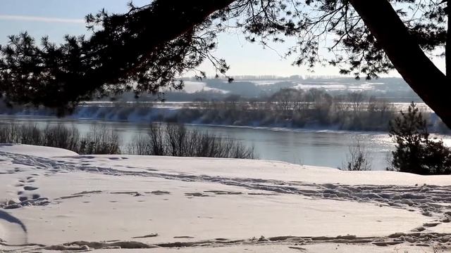 Зимняя сказка. Лес у реки (The Winter's Tale. Forest by the river) смотреть онлайн