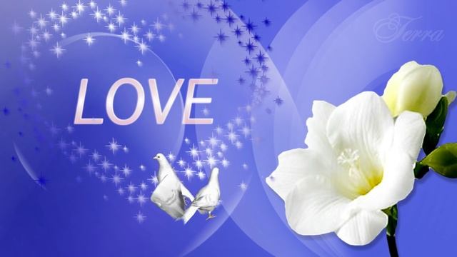 Свадебный проект . Счастья и Любви. смотреть онлайн