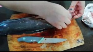 Клариевый сом.  Мини узв для клариевого сома. Разделка и копчение сома