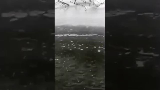 Бюджетный Способ Кормления Форели