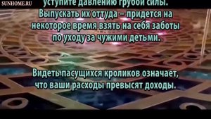 К чему снится Кролик сонник, толкование сна