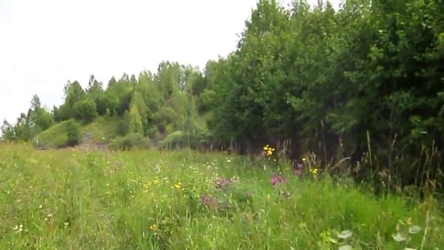 Осенние листья смотреть онлайн