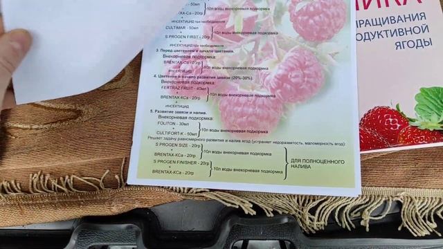 Профессиональные удобрения для клубники и малины