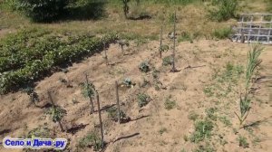 Как создать хороший домашний огород своими руками? Как можно работать в огороде?