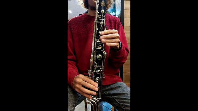 Бас кларнет импровиз на гармонию Джоржиа смотреть онлайн