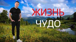 Жизнь- это чудо/ пробуждение сознания