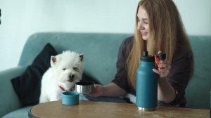 Asobu для питомцев: термос «Buddy» и бутылка для воды «Dog Bowl Bottle» со съемными мисками