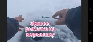 Рыбалка на мормышку в непогоду . Глухозимье продолжается . Зимняя рыбалка 2021-2022 . Рыбалка .