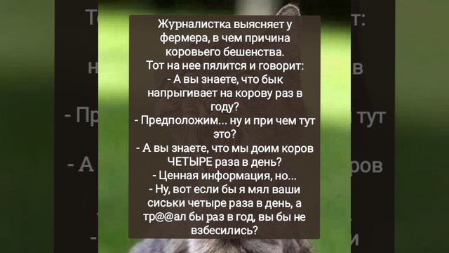 Журналистка...