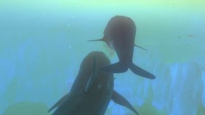 Feed And Grow Fish : Great White Shark