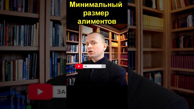 Минимальный размер алиментов