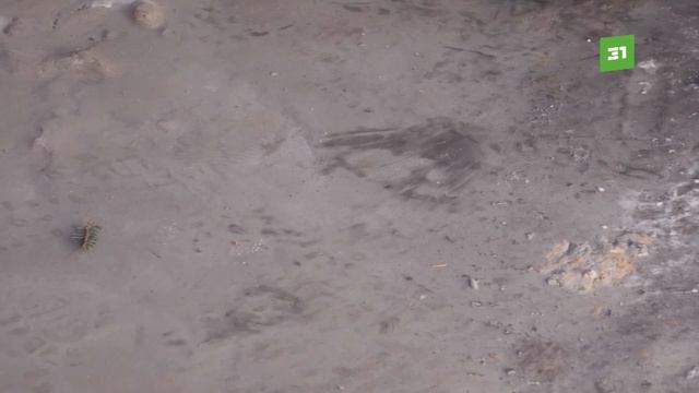 Жизнь — просто шлак. В Першино из-за производственной пыли выросли черные сугробы смотреть онлайн