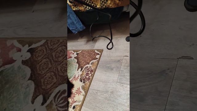 Отпариватель для одежды смотреть онлайн