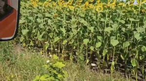 Волчанский район, Харьковская область