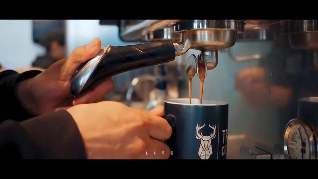 True Coffee Colon Cinematic - Lite visuals смотреть онлайн