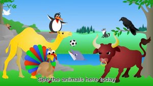 More Animal Sounds