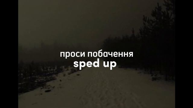 проси пробачення (sped Up)