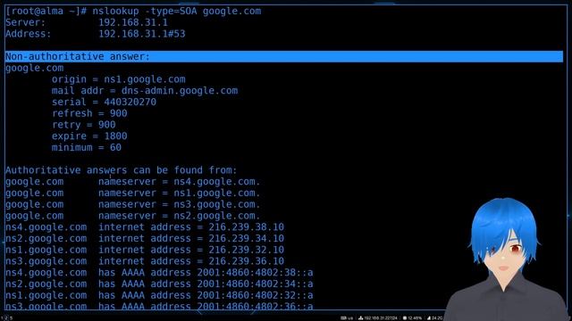 12. Основы DNS ч.1 смотреть онлайн