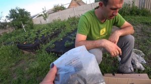 Пришла посылка с сайта Агромаркет / Отзыв Агромаркет (відгук)