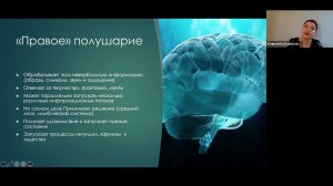 Как работают и влияют на наше поведение, мышление и творчество левое и правое полушарие мозга?