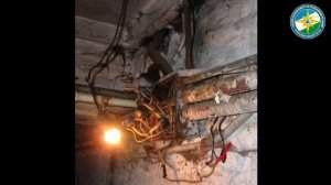 Противопожарная безопасность.mp4