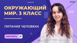 Питание человека. Видеоурок 19. Окружающий мир 3 класс