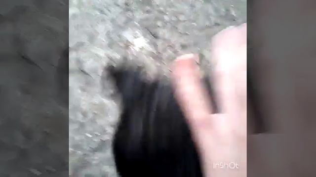 Чарли- я не сплю я живой филя то просто в кадр попал смотреть онлайн