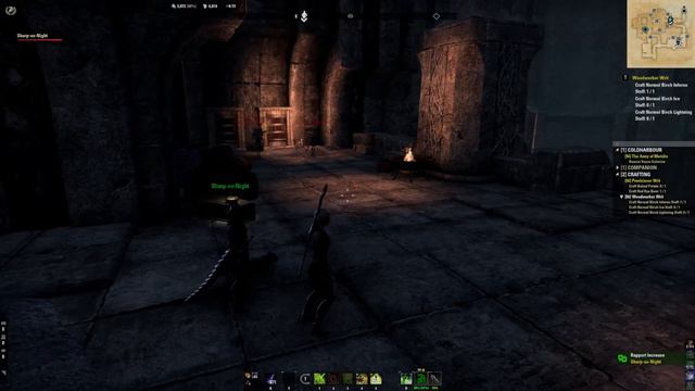42 The Elder Scrolls Online Arcanist