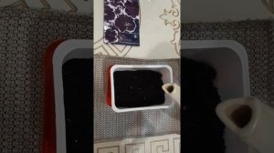 Посев семян петунии в кипяток. Реанимируем семена!