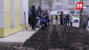 Сиреневую аллею высадили в Череповце в честь Дня Победы