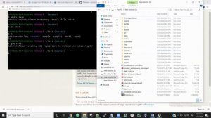 Git Installation Windows and Linux