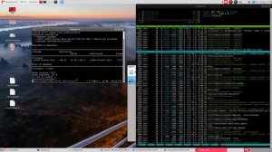 Установка yandex браузер linux Red OS (РедОС)