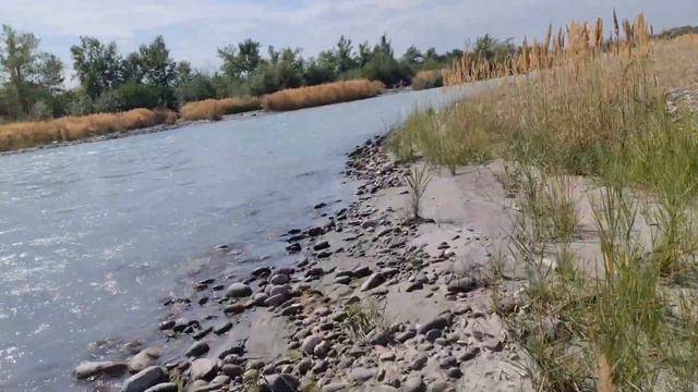 рыбалка в КБР # Trout fishing 🎣 смотреть онлайн