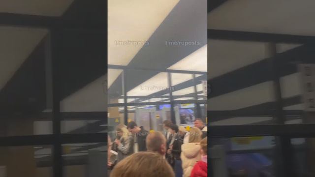 Как много призывников в Шереметьево смотреть онлайн