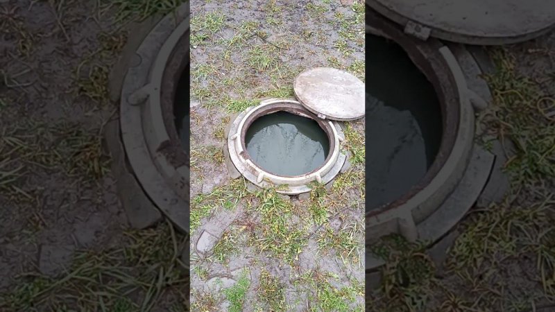 Зима, дождь. Все как обычно.