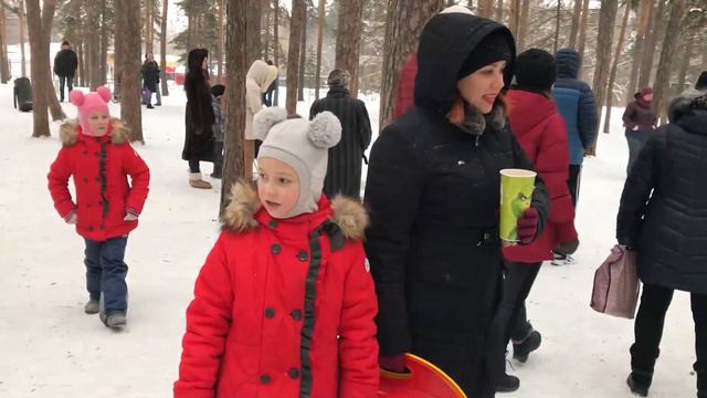 В парк привезли диких зверей смотрим и гладим их. смотреть онлайн