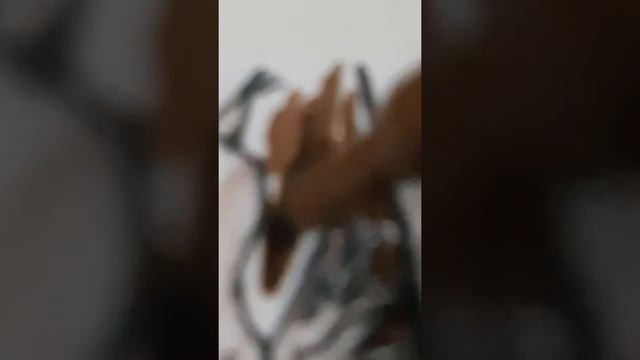 к содержанию сказок (моей книги) нарисовала сама смотреть онлайн