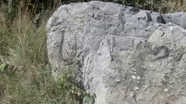 Зарисовки из России. Талицкие дни и всем "комильфам" комильфо:))) смотреть онлайн