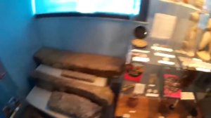 Геленджик. Морской музей в Сафари-парке.