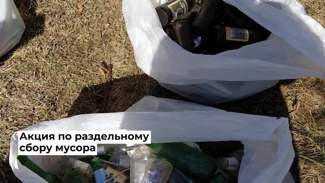Экологические акции школы МБОУ Жемчужненская СШ1