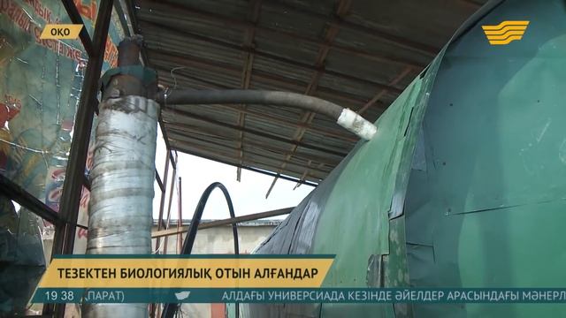 Шымкентте өнертапқыштар сиырдың қиынан биогаз алатын модульді жүйені жасап шықты смотреть онлайн