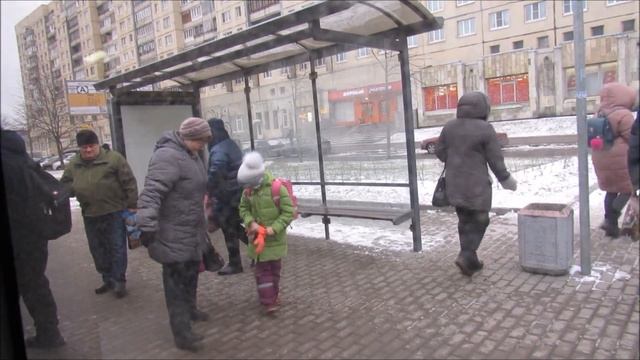 Автобус 169 "Ст. м. "Проспект Большевиков" - Хасанская ул." (старая трасса) смотреть онлайн