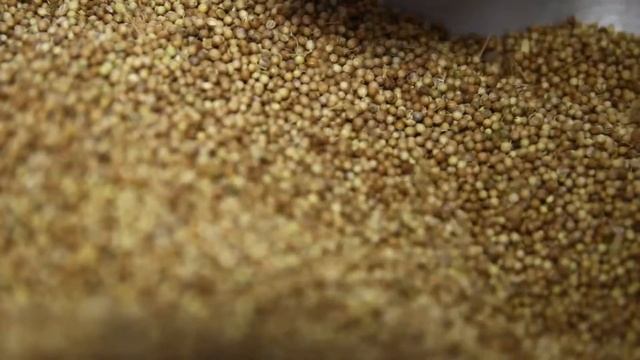 Magen-D смотреть онлайн