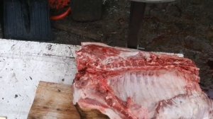 Дюрку почти 6 месяцев? вес мясом??